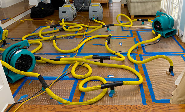 Professional Burst Pipe Water Damage technician working in Laketown, UT